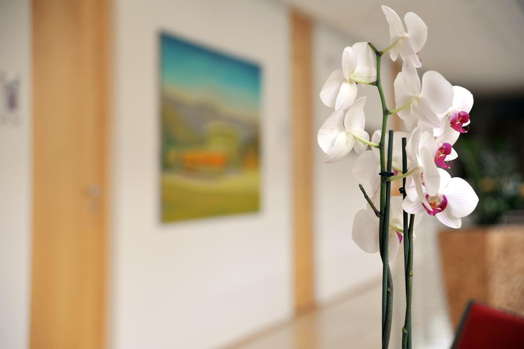Hotel Galerie Грайфсвалд Екстериор снимка